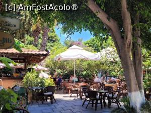 [P04] Orașul Rhodos » foto by vlado2
 - 
<span class="allrVoted glyphicon glyphicon-heart hidden" id="av1518451"></span>
<a class="m-l-10 hidden" id="sv1518451" onclick="voting_Foto_DelVot(,1518451,3837)" role="button">șterge vot <span class="glyphicon glyphicon-remove"></span></a>
<a id="v91518451" class=" c-red"  onclick="voting_Foto_SetVot(1518451)" role="button"><span class="glyphicon glyphicon-heart-empty"></span> <b>LIKE</b> = Votează poza</a> <img class="hidden"  id="f1518451W9" src="/imagini/loader.gif" border="0" /><span class="AjErrMes hidden" id="e1518451ErM"></span>