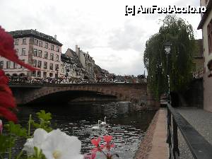 [P58] Strasbourg. Nu suntem singuri la plimbare...  » foto by doina_c24
 - 
<span class="allrVoted glyphicon glyphicon-heart hidden" id="av392259"></span>
<a class="m-l-10 hidden" id="sv392259" onclick="voting_Foto_DelVot(,392259,3883)" role="button">șterge vot <span class="glyphicon glyphicon-remove"></span></a>
<a id="v9392259" class=" c-red"  onclick="voting_Foto_SetVot(392259)" role="button"><span class="glyphicon glyphicon-heart-empty"></span> <b>LIKE</b> = Votează poza</a> <img class="hidden"  id="f392259W9" src="/imagini/loader.gif" border="0" /><span class="AjErrMes hidden" id="e392259ErM"></span>