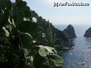 [P13] Capri - Coasta este astfel impodobita din loc in loc.  » foto by iulianic
 - 
<span class="allrVoted glyphicon glyphicon-heart hidden" id="av399635"></span>
<a class="m-l-10 hidden" id="sv399635" onclick="voting_Foto_DelVot(,399635,3887)" role="button">șterge vot <span class="glyphicon glyphicon-remove"></span></a>
<a id="v9399635" class=" c-red"  onclick="voting_Foto_SetVot(399635)" role="button"><span class="glyphicon glyphicon-heart-empty"></span> <b>LIKE</b> = Votează poza</a> <img class="hidden"  id="f399635W9" src="/imagini/loader.gif" border="0" /><span class="AjErrMes hidden" id="e399635ErM"></span>