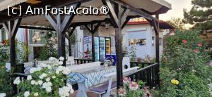 [P05] 05. Tot „La Margot. » foto by doinafil
 - 
<span class="allrVoted glyphicon glyphicon-heart hidden" id="av1494582"></span>
<a class="m-l-10 hidden" id="sv1494582" onclick="voting_Foto_DelVot(,1494582,3890)" role="button">șterge vot <span class="glyphicon glyphicon-remove"></span></a>
<a id="v91494582" class=" c-red"  onclick="voting_Foto_SetVot(1494582)" role="button"><span class="glyphicon glyphicon-heart-empty"></span> <b>LIKE</b> = Votează poza</a> <img class="hidden"  id="f1494582W9" src="/imagini/loader.gif" border="0" /><span class="AjErrMes hidden" id="e1494582ErM"></span>