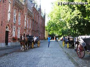 [P04] Trasuri ce asteapta turistii-Brugge » foto by Ricone
 - 
<span class="allrVoted glyphicon glyphicon-heart hidden" id="av367073"></span>
<a class="m-l-10 hidden" id="sv367073" onclick="voting_Foto_DelVot(,367073,3901)" role="button">șterge vot <span class="glyphicon glyphicon-remove"></span></a>
<a id="v9367073" class=" c-red"  onclick="voting_Foto_SetVot(367073)" role="button"><span class="glyphicon glyphicon-heart-empty"></span> <b>LIKE</b> = Votează poza</a> <img class="hidden"  id="f367073W9" src="/imagini/loader.gif" border="0" /><span class="AjErrMes hidden" id="e367073ErM"></span>