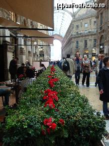 [P77] Galleria Vittorio Emanuele II » foto by mariana.olaru
 - 
<span class="allrVoted glyphicon glyphicon-heart hidden" id="av327268"></span>
<a class="m-l-10 hidden" id="sv327268" onclick="voting_Foto_DelVot(,327268,3925)" role="button">șterge vot <span class="glyphicon glyphicon-remove"></span></a>
<a id="v9327268" class=" c-red"  onclick="voting_Foto_SetVot(327268)" role="button"><span class="glyphicon glyphicon-heart-empty"></span> <b>LIKE</b> = Votează poza</a> <img class="hidden"  id="f327268W9" src="/imagini/loader.gif" border="0" /><span class="AjErrMes hidden" id="e327268ErM"></span>