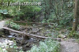 [P14] Parcul Național Cheile Nerei-Beușnița, Traseul Cheile Șușara, A treia punte peste Râul Șușara » foto by mprofeanu
 - 
<span class="allrVoted glyphicon glyphicon-heart hidden" id="av1187645"></span>
<a class="m-l-10 hidden" id="sv1187645" onclick="voting_Foto_DelVot(,1187645,3939)" role="button">șterge vot <span class="glyphicon glyphicon-remove"></span></a>
<a id="v91187645" class=" c-red"  onclick="voting_Foto_SetVot(1187645)" role="button"><span class="glyphicon glyphicon-heart-empty"></span> <b>LIKE</b> = Votează poza</a> <img class="hidden"  id="f1187645W9" src="/imagini/loader.gif" border="0" /><span class="AjErrMes hidden" id="e1187645ErM"></span>