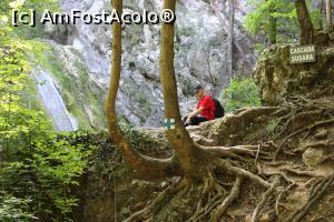 [P20] Parcul Național Cheile Nerei-Beușnița, Cascada Șușara, Pauză de odihnă binevenită, se coboară la baza cascadei... » foto by mprofeanu
 - 
<span class="allrVoted glyphicon glyphicon-heart hidden" id="av1187651"></span>
<a class="m-l-10 hidden" id="sv1187651" onclick="voting_Foto_DelVot(,1187651,3939)" role="button">șterge vot <span class="glyphicon glyphicon-remove"></span></a>
<a id="v91187651" class=" c-red"  onclick="voting_Foto_SetVot(1187651)" role="button"><span class="glyphicon glyphicon-heart-empty"></span> <b>LIKE</b> = Votează poza</a> <img class="hidden"  id="f1187651W9" src="/imagini/loader.gif" border="0" /><span class="AjErrMes hidden" id="e1187651ErM"></span>