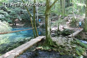 [P12] Parcul Național Cheile Nerei – Beușnița, Lacul Ochiul Beiului, în dreapta colțul care plânge continuu... mica cascadă... » foto by mprofeanu
 - 
<span class="allrVoted glyphicon glyphicon-heart hidden" id="av1189016"></span>
<a class="m-l-10 hidden" id="sv1189016" onclick="voting_Foto_DelVot(,1189016,3939)" role="button">șterge vot <span class="glyphicon glyphicon-remove"></span></a>
<a id="v91189016" class=" c-red"  onclick="voting_Foto_SetVot(1189016)" role="button"><span class="glyphicon glyphicon-heart-empty"></span> <b>LIKE</b> = Votează poza</a> <img class="hidden"  id="f1189016W9" src="/imagini/loader.gif" border="0" /><span class="AjErrMes hidden" id="e1189016ErM"></span>