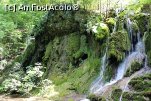 [P26] Parcul Național Cheile Nerei – Beușnița, Cascada Beușnița 2, în plan îndepărtat se vede puțin altă cadere de apă....unde este și ciuperca... » foto by mprofeanu
 - 
<span class="allrVoted glyphicon glyphicon-heart hidden" id="av1189030"></span>
<a class="m-l-10 hidden" id="sv1189030" onclick="voting_Foto_DelVot(,1189030,3939)" role="button">șterge vot <span class="glyphicon glyphicon-remove"></span></a>
<a id="v91189030" class=" c-red"  onclick="voting_Foto_SetVot(1189030)" role="button"><span class="glyphicon glyphicon-heart-empty"></span> <b>LIKE</b> = Votează poza</a> <img class="hidden"  id="f1189030W9" src="/imagini/loader.gif" border="0" /><span class="AjErrMes hidden" id="e1189030ErM"></span>