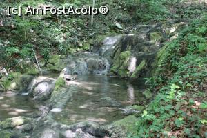 [P32] Parcul Național Cheile Nerei – Beușnița, Râul Beușnita, Praguri de trevertin, mici Cascade, Bazine pe drumul nemarcat între Cascada Beușnița 1 și Cascada Beușnița 2... » foto by mprofeanu
 - 
<span class="allrVoted glyphicon glyphicon-heart hidden" id="av1189036"></span>
<a class="m-l-10 hidden" id="sv1189036" onclick="voting_Foto_DelVot(,1189036,3939)" role="button">șterge vot <span class="glyphicon glyphicon-remove"></span></a>
<a id="v91189036" class=" c-red"  onclick="voting_Foto_SetVot(1189036)" role="button"><span class="glyphicon glyphicon-heart-empty"></span> <b>LIKE</b> = Votează poza</a> <img class="hidden"  id="f1189036W9" src="/imagini/loader.gif" border="0" /><span class="AjErrMes hidden" id="e1189036ErM"></span>