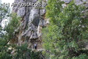 [P22] Parcul Național Cheile Nerei – Beușnița, Poteca spre Tunele săpată în stâncă, ce mică eram!!.... » foto by mprofeanu
 - 
<span class="allrVoted glyphicon glyphicon-heart hidden" id="av1189507"></span>
<a class="m-l-10 hidden" id="sv1189507" onclick="voting_Foto_DelVot(,1189507,3939)" role="button">șterge vot <span class="glyphicon glyphicon-remove"></span></a>
<a id="v91189507" class=" c-red"  onclick="voting_Foto_SetVot(1189507)" role="button"><span class="glyphicon glyphicon-heart-empty"></span> <b>LIKE</b> = Votează poza</a> <img class="hidden"  id="f1189507W9" src="/imagini/loader.gif" border="0" /><span class="AjErrMes hidden" id="e1189507ErM"></span>