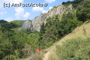 [P25] Parcul Național Cheile Nerei – Beușnița, Poteca spre Tunele urcă ușor, se vede în spate stânca pe lângă care am trecut.... » foto by mprofeanu
 - 
<span class="allrVoted glyphicon glyphicon-heart hidden" id="av1189510"></span>
<a class="m-l-10 hidden" id="sv1189510" onclick="voting_Foto_DelVot(,1189510,3939)" role="button">șterge vot <span class="glyphicon glyphicon-remove"></span></a>
<a id="v91189510" class=" c-red"  onclick="voting_Foto_SetVot(1189510)" role="button"><span class="glyphicon glyphicon-heart-empty"></span> <b>LIKE</b> = Votează poza</a> <img class="hidden"  id="f1189510W9" src="/imagini/loader.gif" border="0" /><span class="AjErrMes hidden" id="e1189510ErM"></span>