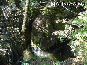 [P17] Valea Minisului - Cascada Bigar » foto by TaniaT
 - 
<span class="allrVoted glyphicon glyphicon-heart hidden" id="av377143"></span>
<a class="m-l-10 hidden" id="sv377143" onclick="voting_Foto_DelVot(,377143,3939)" role="button">șterge vot <span class="glyphicon glyphicon-remove"></span></a>
<a id="v9377143" class=" c-red"  onclick="voting_Foto_SetVot(377143)" role="button"><span class="glyphicon glyphicon-heart-empty"></span> <b>LIKE</b> = Votează poza</a> <img class="hidden"  id="f377143W9" src="/imagini/loader.gif" border="0" /><span class="AjErrMes hidden" id="e377143ErM"></span>