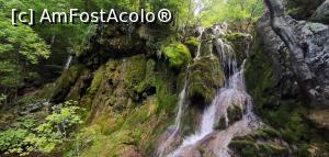 [P48] Cascada Beușnița 2. » foto by Aurici
 - 
<span class="allrVoted glyphicon glyphicon-heart hidden" id="av1186718"></span>
<a class="m-l-10 hidden" id="sv1186718" onclick="voting_Foto_DelVot(,1186718,3939)" role="button">șterge vot <span class="glyphicon glyphicon-remove"></span></a>
<a id="v91186718" class=" c-red"  onclick="voting_Foto_SetVot(1186718)" role="button"><span class="glyphicon glyphicon-heart-empty"></span> <b>LIKE</b> = Votează poza</a> <img class="hidden"  id="f1186718W9" src="/imagini/loader.gif" border="0" /><span class="AjErrMes hidden" id="e1186718ErM"></span>