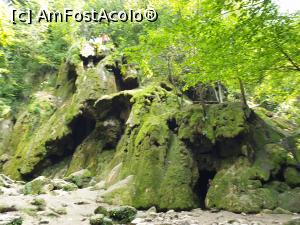 [P20] cascada Beusnita, fara cadere de apa » foto by geani anto
 - 
<span class="allrVoted glyphicon glyphicon-heart hidden" id="av1194651"></span>
<a class="m-l-10 hidden" id="sv1194651" onclick="voting_Foto_DelVot(,1194651,3939)" role="button">șterge vot <span class="glyphicon glyphicon-remove"></span></a>
<a id="v91194651" class=" c-red"  onclick="voting_Foto_SetVot(1194651)" role="button"><span class="glyphicon glyphicon-heart-empty"></span> <b>LIKE</b> = Votează poza</a> <img class="hidden"  id="f1194651W9" src="/imagini/loader.gif" border="0" /><span class="AjErrMes hidden" id="e1194651ErM"></span>