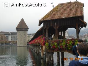 [P02] Kapellbrücke și minunatele flori ce-l însoțesc » foto by Mitica49
 - 
<span class="allrVoted glyphicon glyphicon-heart hidden" id="av1035648"></span>
<a class="m-l-10 hidden" id="sv1035648" onclick="voting_Foto_DelVot(,1035648,3962)" role="button">șterge vot <span class="glyphicon glyphicon-remove"></span></a>
<a id="v91035648" class=" c-red"  onclick="voting_Foto_SetVot(1035648)" role="button"><span class="glyphicon glyphicon-heart-empty"></span> <b>LIKE</b> = Votează poza</a> <img class="hidden"  id="f1035648W9" src="/imagini/loader.gif" border="0" /><span class="AjErrMes hidden" id="e1035648ErM"></span>