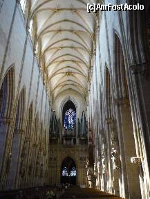 [P32] Ulm - Ulmer Minster, vedere spre orgă. » foto by Dragoș_MD
 - 
<span class="allrVoted glyphicon glyphicon-heart hidden" id="av220516"></span>
<a class="m-l-10 hidden" id="sv220516" onclick="voting_Foto_DelVot(,220516,3969)" role="button">șterge vot <span class="glyphicon glyphicon-remove"></span></a>
<a id="v9220516" class=" c-red"  onclick="voting_Foto_SetVot(220516)" role="button"><span class="glyphicon glyphicon-heart-empty"></span> <b>LIKE</b> = Votează poza</a> <img class="hidden"  id="f220516W9" src="/imagini/loader.gif" border="0" /><span class="AjErrMes hidden" id="e220516ErM"></span>