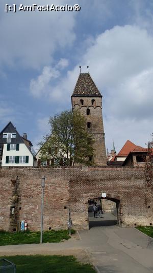 [P10] Metzgerturm (turnul Măcelarilor) de dincolo de zid » foto by Dragoș_MD
 - 
<span class="allrVoted glyphicon glyphicon-heart hidden" id="av944078"></span>
<a class="m-l-10 hidden" id="sv944078" onclick="voting_Foto_DelVot(,944078,3969)" role="button">șterge vot <span class="glyphicon glyphicon-remove"></span></a>
<a id="v9944078" class=" c-red"  onclick="voting_Foto_SetVot(944078)" role="button"><span class="glyphicon glyphicon-heart-empty"></span> <b>LIKE</b> = Votează poza</a> <img class="hidden"  id="f944078W9" src="/imagini/loader.gif" border="0" /><span class="AjErrMes hidden" id="e944078ErM"></span>