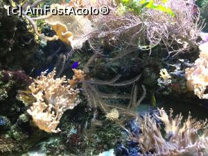 [P10] Zoo Ulm - si diversi alti pestisori » foto by mishu
 - 
<span class="allrVoted glyphicon glyphicon-heart hidden" id="av1205591"></span>
<a class="m-l-10 hidden" id="sv1205591" onclick="voting_Foto_DelVot(,1205591,3969)" role="button">șterge vot <span class="glyphicon glyphicon-remove"></span></a>
<a id="v91205591" class=" c-red"  onclick="voting_Foto_SetVot(1205591)" role="button"><span class="glyphicon glyphicon-heart-empty"></span> <b>LIKE</b> = Votează poza</a> <img class="hidden"  id="f1205591W9" src="/imagini/loader.gif" border="0" /><span class="AjErrMes hidden" id="e1205591ErM"></span>
