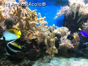 [P13] Zoo Ulm - au niste culori de zici ca sunt pictati » foto by mishu
 - 
<span class="allrVoted glyphicon glyphicon-heart hidden" id="av1205594"></span>
<a class="m-l-10 hidden" id="sv1205594" onclick="voting_Foto_DelVot(,1205594,3969)" role="button">șterge vot <span class="glyphicon glyphicon-remove"></span></a>
<a id="v91205594" class=" c-red"  onclick="voting_Foto_SetVot(1205594)" role="button"><span class="glyphicon glyphicon-heart-empty"></span> <b>LIKE</b> = Votează poza</a> <img class="hidden"  id="f1205594W9" src="/imagini/loader.gif" border="0" /><span class="AjErrMes hidden" id="e1205594ErM"></span>