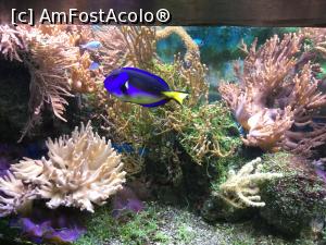 [P14] Zoo Ulm - o lume plina de culoare » foto by mishu
 - 
<span class="allrVoted glyphicon glyphicon-heart hidden" id="av1205595"></span>
<a class="m-l-10 hidden" id="sv1205595" onclick="voting_Foto_DelVot(,1205595,3969)" role="button">șterge vot <span class="glyphicon glyphicon-remove"></span></a>
<a id="v91205595" class=" c-red"  onclick="voting_Foto_SetVot(1205595)" role="button"><span class="glyphicon glyphicon-heart-empty"></span> <b>LIKE</b> = Votează poza</a> <img class="hidden"  id="f1205595W9" src="/imagini/loader.gif" border="0" /><span class="AjErrMes hidden" id="e1205595ErM"></span>