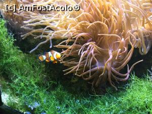[P15] Zoo Ulm - L-am prins inainte sa se ascunda » foto by mishu
 - 
<span class="allrVoted glyphicon glyphicon-heart hidden" id="av1205596"></span>
<a class="m-l-10 hidden" id="sv1205596" onclick="voting_Foto_DelVot(,1205596,3969)" role="button">șterge vot <span class="glyphicon glyphicon-remove"></span></a>
<a id="v91205596" class=" c-red"  onclick="voting_Foto_SetVot(1205596)" role="button"><span class="glyphicon glyphicon-heart-empty"></span> <b>LIKE</b> = Votează poza</a> <img class="hidden"  id="f1205596W9" src="/imagini/loader.gif" border="0" /><span class="AjErrMes hidden" id="e1205596ErM"></span>