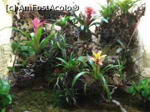 [P27] Zoo Ulm - Aici am admirat doar plantele, altceva nu am vazut » foto by mishu
 - 
<span class="allrVoted glyphicon glyphicon-heart hidden" id="av1205608"></span>
<a class="m-l-10 hidden" id="sv1205608" onclick="voting_Foto_DelVot(,1205608,3969)" role="button">șterge vot <span class="glyphicon glyphicon-remove"></span></a>
<a id="v91205608" class=" c-red"  onclick="voting_Foto_SetVot(1205608)" role="button"><span class="glyphicon glyphicon-heart-empty"></span> <b>LIKE</b> = Votează poza</a> <img class="hidden"  id="f1205608W9" src="/imagini/loader.gif" border="0" /><span class="AjErrMes hidden" id="e1205608ErM"></span>