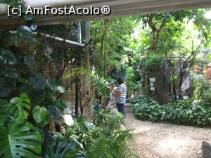 [P29] Zoo Ulm - zona tropicala » foto by mishu
 - 
<span class="allrVoted glyphicon glyphicon-heart hidden" id="av1205610"></span>
<a class="m-l-10 hidden" id="sv1205610" onclick="voting_Foto_DelVot(,1205610,3969)" role="button">șterge vot <span class="glyphicon glyphicon-remove"></span></a>
<a id="v91205610" class=" c-red"  onclick="voting_Foto_SetVot(1205610)" role="button"><span class="glyphicon glyphicon-heart-empty"></span> <b>LIKE</b> = Votează poza</a> <img class="hidden"  id="f1205610W9" src="/imagini/loader.gif" border="0" /><span class="AjErrMes hidden" id="e1205610ErM"></span>