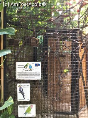 [P32] Zoo Ulm - si pasari exotice » foto by mishu
 - 
<span class="allrVoted glyphicon glyphicon-heart hidden" id="av1205613"></span>
<a class="m-l-10 hidden" id="sv1205613" onclick="voting_Foto_DelVot(,1205613,3969)" role="button">șterge vot <span class="glyphicon glyphicon-remove"></span></a>
<a id="v91205613" class=" c-red"  onclick="voting_Foto_SetVot(1205613)" role="button"><span class="glyphicon glyphicon-heart-empty"></span> <b>LIKE</b> = Votează poza</a> <img class="hidden"  id="f1205613W9" src="/imagini/loader.gif" border="0" /><span class="AjErrMes hidden" id="e1205613ErM"></span>