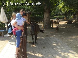 [P38] Zoo Ulm - ceva caluti » foto by mishu
 - 
<span class="allrVoted glyphicon glyphicon-heart hidden" id="av1205622"></span>
<a class="m-l-10 hidden" id="sv1205622" onclick="voting_Foto_DelVot(,1205622,3969)" role="button">șterge vot <span class="glyphicon glyphicon-remove"></span></a>
<a id="v91205622" class=" c-red"  onclick="voting_Foto_SetVot(1205622)" role="button"><span class="glyphicon glyphicon-heart-empty"></span> <b>LIKE</b> = Votează poza</a> <img class="hidden"  id="f1205622W9" src="/imagini/loader.gif" border="0" /><span class="AjErrMes hidden" id="e1205622ErM"></span>