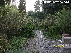 [P06] Aleea din stânga, cu plante aromatice și medicinale.  » foto by puiutea
 - 
<span class="allrVoted glyphicon glyphicon-heart hidden" id="av579233"></span>
<a class="m-l-10 hidden" id="sv579233" onclick="voting_Foto_DelVot(,579233,3969)" role="button">șterge vot <span class="glyphicon glyphicon-remove"></span></a>
<a id="v9579233" class=" c-red"  onclick="voting_Foto_SetVot(579233)" role="button"><span class="glyphicon glyphicon-heart-empty"></span> <b>LIKE</b> = Votează poza</a> <img class="hidden"  id="f579233W9" src="/imagini/loader.gif" border="0" /><span class="AjErrMes hidden" id="e579233ErM"></span>