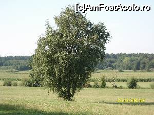 [P49] Bogățiile locurilor : pășuni, porumb și păduri!  » foto by puiutea
 - 
<span class="allrVoted glyphicon glyphicon-heart hidden" id="av666252"></span>
<a class="m-l-10 hidden" id="sv666252" onclick="voting_Foto_DelVot(,666252,3969)" role="button">șterge vot <span class="glyphicon glyphicon-remove"></span></a>
<a id="v9666252" class=" c-red"  onclick="voting_Foto_SetVot(666252)" role="button"><span class="glyphicon glyphicon-heart-empty"></span> <b>LIKE</b> = Votează poza</a> <img class="hidden"  id="f666252W9" src="/imagini/loader.gif" border="0" /><span class="AjErrMes hidden" id="e666252ErM"></span>
