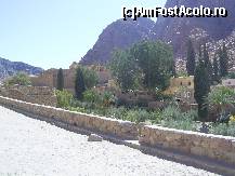 [P21] Spre Manastirea Sf. Ecaterina din Sinai. » foto by iulianic
 - 
<span class="allrVoted glyphicon glyphicon-heart hidden" id="av219830"></span>
<a class="m-l-10 hidden" id="sv219830" onclick="voting_Foto_DelVot(,219830,3997)" role="button">șterge vot <span class="glyphicon glyphicon-remove"></span></a>
<a id="v9219830" class=" c-red"  onclick="voting_Foto_SetVot(219830)" role="button"><span class="glyphicon glyphicon-heart-empty"></span> <b>LIKE</b> = Votează poza</a> <img class="hidden"  id="f219830W9" src="/imagini/loader.gif" border="0" /><span class="AjErrMes hidden" id="e219830ErM"></span>