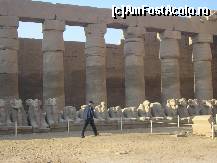 [P10] la intrare in templul de la Karnak,marginita de zeulAmon,cu cap de berbec » foto by grecudoina
 - 
<span class="allrVoted glyphicon glyphicon-heart hidden" id="av297843"></span>
<a class="m-l-10 hidden" id="sv297843" onclick="voting_Foto_DelVot(,297843,3997)" role="button">șterge vot <span class="glyphicon glyphicon-remove"></span></a>
<a id="v9297843" class=" c-red"  onclick="voting_Foto_SetVot(297843)" role="button"><span class="glyphicon glyphicon-heart-empty"></span> <b>LIKE</b> = Votează poza</a> <img class="hidden"  id="f297843W9" src="/imagini/loader.gif" border="0" /><span class="AjErrMes hidden" id="e297843ErM"></span>