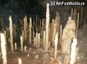 [P01] O fotografie din interiorul pesterii (stalagmite)  » foto by yuly68
 - 
<span class="allrVoted glyphicon glyphicon-heart hidden" id="av386068"></span>
<a class="m-l-10 hidden" id="sv386068" onclick="voting_Foto_DelVot(,386068,4024)" role="button">șterge vot <span class="glyphicon glyphicon-remove"></span></a>
<a id="v9386068" class=" c-red"  onclick="voting_Foto_SetVot(386068)" role="button"><span class="glyphicon glyphicon-heart-empty"></span> <b>LIKE</b> = Votează poza</a> <img class="hidden"  id="f386068W9" src="/imagini/loader.gif" border="0" /><span class="AjErrMes hidden" id="e386068ErM"></span>