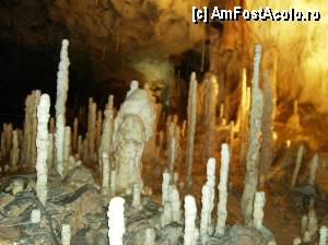 [P11] Descoperind stalagmitele » foto by yuly68
 - 
<span class="allrVoted glyphicon glyphicon-heart hidden" id="av386078"></span>
<a class="m-l-10 hidden" id="sv386078" onclick="voting_Foto_DelVot(,386078,4024)" role="button">șterge vot <span class="glyphicon glyphicon-remove"></span></a>
<a id="v9386078" class=" c-red"  onclick="voting_Foto_SetVot(386078)" role="button"><span class="glyphicon glyphicon-heart-empty"></span> <b>LIKE</b> = Votează poza</a> <img class="hidden"  id="f386078W9" src="/imagini/loader.gif" border="0" /><span class="AjErrMes hidden" id="e386078ErM"></span>