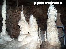 [P11] Formatiuni de stalagmite din Galeria Emil Racovita. » foto by pepsi70ro
 - 
<span class="allrVoted glyphicon glyphicon-heart hidden" id="av170699"></span>
<a class="m-l-10 hidden" id="sv170699" onclick="voting_Foto_DelVot(,170699,4024)" role="button">șterge vot <span class="glyphicon glyphicon-remove"></span></a>
<a id="v9170699" class=" c-red"  onclick="voting_Foto_SetVot(170699)" role="button"><span class="glyphicon glyphicon-heart-empty"></span> <b>LIKE</b> = Votează poza</a> <img class="hidden"  id="f170699W9" src="/imagini/loader.gif" border="0" /><span class="AjErrMes hidden" id="e170699ErM"></span>