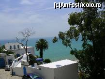 [P14] Vedere tipica in Sidi Bou Said » foto by Pami*
 - 
<span class="allrVoted glyphicon glyphicon-heart hidden" id="av76238"></span>
<a class="m-l-10 hidden" id="sv76238" onclick="voting_Foto_DelVot(,76238,4041)" role="button">șterge vot <span class="glyphicon glyphicon-remove"></span></a>
<a id="v976238" class=" c-red"  onclick="voting_Foto_SetVot(76238)" role="button"><span class="glyphicon glyphicon-heart-empty"></span> <b>LIKE</b> = Votează poza</a> <img class="hidden"  id="f76238W9" src="/imagini/loader.gif" border="0" /><span class="AjErrMes hidden" id="e76238ErM"></span>