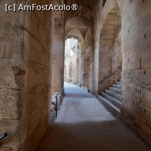 [P12] El Jem, Amfiteatrul, Mergem printre coloane, la primul etaj » foto by mprofeanu
 - 
<span class="allrVoted glyphicon glyphicon-heart hidden" id="av1433194"></span>
<a class="m-l-10 hidden" id="sv1433194" onclick="voting_Foto_DelVot(,1433194,4044)" role="button">șterge vot <span class="glyphicon glyphicon-remove"></span></a>
<a id="v91433194" class=" c-red"  onclick="voting_Foto_SetVot(1433194)" role="button"><span class="glyphicon glyphicon-heart-empty"></span> <b>LIKE</b> = Votează poza</a> <img class="hidden"  id="f1433194W9" src="/imagini/loader.gif" border="0" /><span class="AjErrMes hidden" id="e1433194ErM"></span>