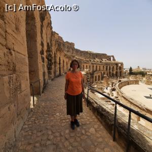 [P14] El Jem, Amfiteatrul, Am ajuns la al doilea etaj » foto by mprofeanu
 - 
<span class="allrVoted glyphicon glyphicon-heart hidden" id="av1433196"></span>
<a class="m-l-10 hidden" id="sv1433196" onclick="voting_Foto_DelVot(,1433196,4044)" role="button">șterge vot <span class="glyphicon glyphicon-remove"></span></a>
<a id="v91433196" class=" c-red"  onclick="voting_Foto_SetVot(1433196)" role="button"><span class="glyphicon glyphicon-heart-empty"></span> <b>LIKE</b> = Votează poza</a> <img class="hidden"  id="f1433196W9" src="/imagini/loader.gif" border="0" /><span class="AjErrMes hidden" id="e1433196ErM"></span>