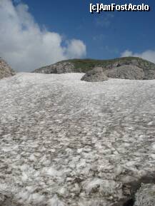 [P31] ce ziceti ? ne-am batut cu aceasta zapada. era murdara ? si ce daca ! noi am luat la cunostinta ca s-a inventat masina de spalat si o folosim cu drag si spor. si cu rezultate !!! » foto by a.sr*
 - 
<span class="allrVoted glyphicon glyphicon-heart hidden" id="av263342"></span>
<a class="m-l-10 hidden" id="sv263342" onclick="voting_Foto_DelVot(,263342,4076)" role="button">șterge vot <span class="glyphicon glyphicon-remove"></span></a>
<a id="v9263342" class=" c-red"  onclick="voting_Foto_SetVot(263342)" role="button"><span class="glyphicon glyphicon-heart-empty"></span> <b>LIKE</b> = Votează poza</a> <img class="hidden"  id="f263342W9" src="/imagini/loader.gif" border="0" /><span class="AjErrMes hidden" id="e263342ErM"></span>