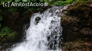 [P19] O parte din cascada.  » foto by Aurici
 - 
<span class="allrVoted glyphicon glyphicon-heart hidden" id="av900213"></span>
<a class="m-l-10 hidden" id="sv900213" onclick="voting_Foto_DelVot(,900213,4076)" role="button">șterge vot <span class="glyphicon glyphicon-remove"></span></a>
<a id="v9900213" class=" c-red"  onclick="voting_Foto_SetVot(900213)" role="button"><span class="glyphicon glyphicon-heart-empty"></span> <b>LIKE</b> = Votează poza</a> <img class="hidden"  id="f900213W9" src="/imagini/loader.gif" border="0" /><span class="AjErrMes hidden" id="e900213ErM"></span>