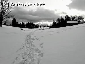 P12 [JAN-2021] Urme prin zăpadă