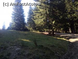 [P30] Pe forestier, spre Diham - înainte de Steaua Munților » foto by danaeldreny*
 - 
<span class="allrVoted glyphicon glyphicon-heart hidden" id="av921894"></span>
<a class="m-l-10 hidden" id="sv921894" onclick="voting_Foto_DelVot(,921894,4076)" role="button">șterge vot <span class="glyphicon glyphicon-remove"></span></a>
<a id="v9921894" class=" c-red"  onclick="voting_Foto_SetVot(921894)" role="button"><span class="glyphicon glyphicon-heart-empty"></span> <b>LIKE</b> = Votează poza</a> <img class="hidden"  id="f921894W9" src="/imagini/loader.gif" border="0" /><span class="AjErrMes hidden" id="e921894ErM"></span>