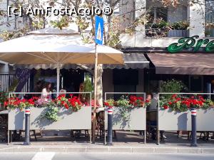 [P02] Presto Ristorante Bucuresti.Terasa cu flori in toamna anului trecut. » foto by Floria
 - 
<span class="allrVoted glyphicon glyphicon-heart hidden" id="av1165656"></span>
<a class="m-l-10 hidden" id="sv1165656" onclick="voting_Foto_DelVot(,1165656,4083)" role="button">șterge vot <span class="glyphicon glyphicon-remove"></span></a>
<a id="v91165656" class=" c-red"  onclick="voting_Foto_SetVot(1165656)" role="button"><span class="glyphicon glyphicon-heart-empty"></span> <b>LIKE</b> = Votează poza</a> <img class="hidden"  id="f1165656W9" src="/imagini/loader.gif" border="0" /><span class="AjErrMes hidden" id="e1165656ErM"></span>