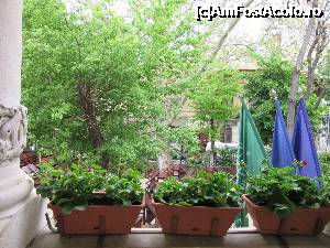 [P10] Balconul este împodobit cu ghivece de flori » foto by Michi
 - 
<span class="allrVoted glyphicon glyphicon-heart hidden" id="av699309"></span>
<a class="m-l-10 hidden" id="sv699309" onclick="voting_Foto_DelVot(,699309,4083)" role="button">șterge vot <span class="glyphicon glyphicon-remove"></span></a>
<a id="v9699309" class=" c-red"  onclick="voting_Foto_SetVot(699309)" role="button"><span class="glyphicon glyphicon-heart-empty"></span> <b>LIKE</b> = Votează poza</a> <img class="hidden"  id="f699309W9" src="/imagini/loader.gif" border="0" /><span class="AjErrMes hidden" id="e699309ErM"></span>