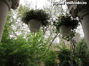 [P11] Terasa de intrare/ ieşire este pur şi simplu înecată în vegetaţie.  » foto by Michi
 - 
<span class="allrVoted glyphicon glyphicon-heart hidden" id="av699310"></span>
<a class="m-l-10 hidden" id="sv699310" onclick="voting_Foto_DelVot(,699310,4083)" role="button">șterge vot <span class="glyphicon glyphicon-remove"></span></a>
<a id="v9699310" class=" c-red"  onclick="voting_Foto_SetVot(699310)" role="button"><span class="glyphicon glyphicon-heart-empty"></span> <b>LIKE</b> = Votează poza</a> <img class="hidden"  id="f699310W9" src="/imagini/loader.gif" border="0" /><span class="AjErrMes hidden" id="e699310ErM"></span>