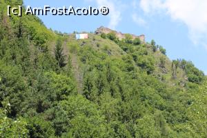 [P17] Cetatea Poenari văzută din șosea, poză mărită la maxim » foto by mprofeanu
 - 
<span class="allrVoted glyphicon glyphicon-heart hidden" id="av1171541"></span>
<a class="m-l-10 hidden" id="sv1171541" onclick="voting_Foto_DelVot(,1171541,4095)" role="button">șterge vot <span class="glyphicon glyphicon-remove"></span></a>
<a id="v91171541" class=" c-red"  onclick="voting_Foto_SetVot(1171541)" role="button"><span class="glyphicon glyphicon-heart-empty"></span> <b>LIKE</b> = Votează poza</a> <img class="hidden"  id="f1171541W9" src="/imagini/loader.gif" border="0" /><span class="AjErrMes hidden" id="e1171541ErM"></span>