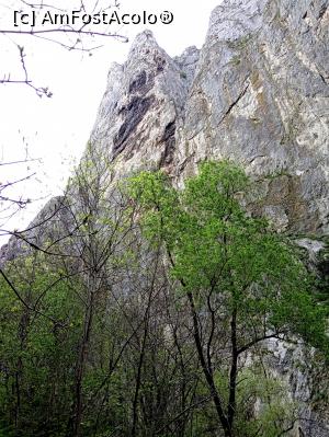 [P24] Cheile Turzii, jud. Cluj, mai 2017 » foto by Dana2008
 - 
<span class="allrVoted glyphicon glyphicon-heart hidden" id="av855659"></span>
<a class="m-l-10 hidden" id="sv855659" onclick="voting_Foto_DelVot(,855659,4100)" role="button">șterge vot <span class="glyphicon glyphicon-remove"></span></a>
<a id="v9855659" class=" c-red"  onclick="voting_Foto_SetVot(855659)" role="button"><span class="glyphicon glyphicon-heart-empty"></span> <b>LIKE</b> = Votează poza</a> <img class="hidden"  id="f855659W9" src="/imagini/loader.gif" border="0" /><span class="AjErrMes hidden" id="e855659ErM"></span>