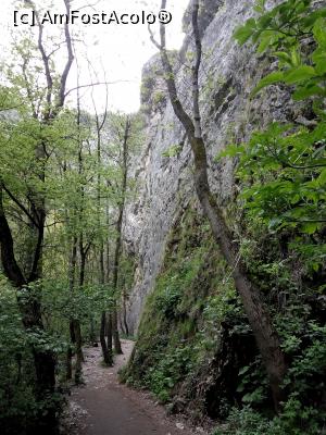 [P09] Cheile Turzii, jud. Cluj, mai 2017 » foto by Dana2008
 - 
<span class="allrVoted glyphicon glyphicon-heart hidden" id="av855611"></span>
<a class="m-l-10 hidden" id="sv855611" onclick="voting_Foto_DelVot(,855611,4100)" role="button">șterge vot <span class="glyphicon glyphicon-remove"></span></a>
<a id="v9855611" class=" c-red"  onclick="voting_Foto_SetVot(855611)" role="button"><span class="glyphicon glyphicon-heart-empty"></span> <b>LIKE</b> = Votează poza</a> <img class="hidden"  id="f855611W9" src="/imagini/loader.gif" border="0" /><span class="AjErrMes hidden" id="e855611ErM"></span>