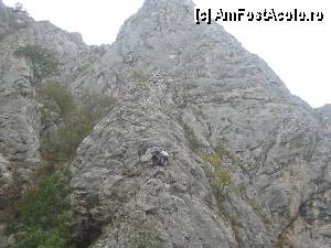 [P19] Sus pe stanci, alpinistii isi vad de treaba lor, au ajuns deja departe » foto by dorgo
 - 
<span class="allrVoted glyphicon glyphicon-heart hidden" id="av367730"></span>
<a class="m-l-10 hidden" id="sv367730" onclick="voting_Foto_DelVot(,367730,4100)" role="button">șterge vot <span class="glyphicon glyphicon-remove"></span></a>
<a id="v9367730" class=" c-red"  onclick="voting_Foto_SetVot(367730)" role="button"><span class="glyphicon glyphicon-heart-empty"></span> <b>LIKE</b> = Votează poza</a> <img class="hidden"  id="f367730W9" src="/imagini/loader.gif" border="0" /><span class="AjErrMes hidden" id="e367730ErM"></span>