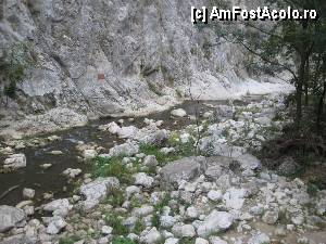 [P22] Ei, cam pe-aici, dupa aproape 1,5 Km de incantare, pe langa podul nr. 4, se termina si partea cea mai spectaculoasa a Cheilor...  » foto by dorgo
 - 
<span class="allrVoted glyphicon glyphicon-heart hidden" id="av367733"></span>
<a class="m-l-10 hidden" id="sv367733" onclick="voting_Foto_DelVot(,367733,4100)" role="button">șterge vot <span class="glyphicon glyphicon-remove"></span></a>
<a id="v9367733" class=" c-red"  onclick="voting_Foto_SetVot(367733)" role="button"><span class="glyphicon glyphicon-heart-empty"></span> <b>LIKE</b> = Votează poza</a> <img class="hidden"  id="f367733W9" src="/imagini/loader.gif" border="0" /><span class="AjErrMes hidden" id="e367733ErM"></span>