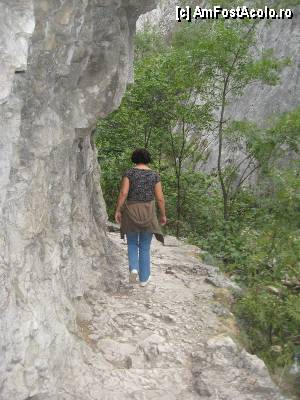 [P08] In calcar au fost sapate cateva 'promenade', de unde poti admira valea raului Hasdate » foto by dorgo
 - 
<span class="allrVoted glyphicon glyphicon-heart hidden" id="av367717"></span>
<a class="m-l-10 hidden" id="sv367717" onclick="voting_Foto_DelVot(,367717,4100)" role="button">șterge vot <span class="glyphicon glyphicon-remove"></span></a>
<a id="v9367717" class=" c-red"  onclick="voting_Foto_SetVot(367717)" role="button"><span class="glyphicon glyphicon-heart-empty"></span> <b>LIKE</b> = Votează poza</a> <img class="hidden"  id="f367717W9" src="/imagini/loader.gif" border="0" /><span class="AjErrMes hidden" id="e367717ErM"></span>